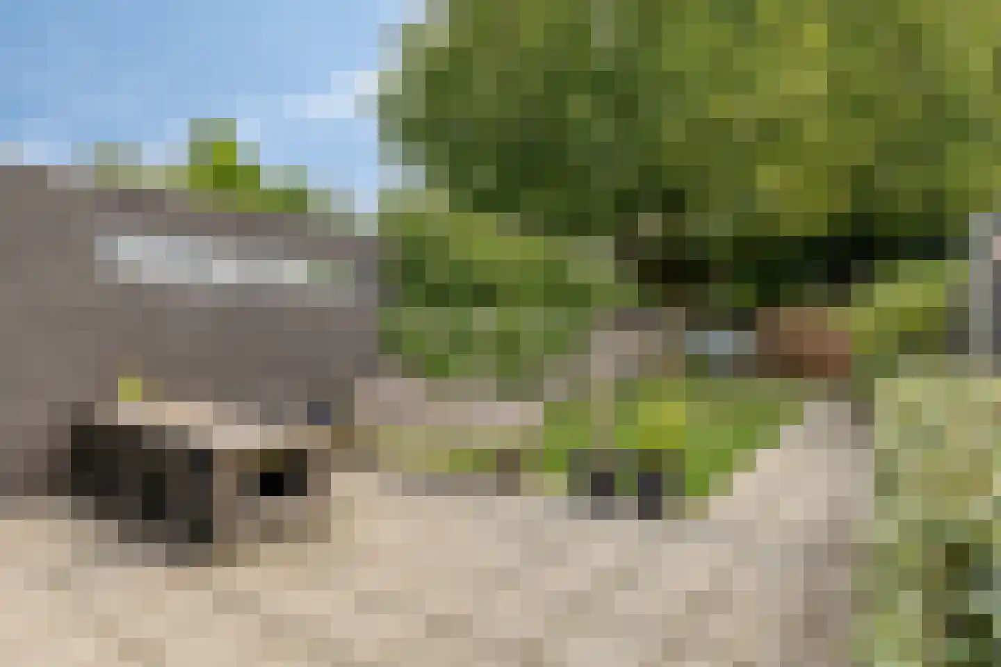 Kempischebaan 168 Valkenswaard thumbnail 38