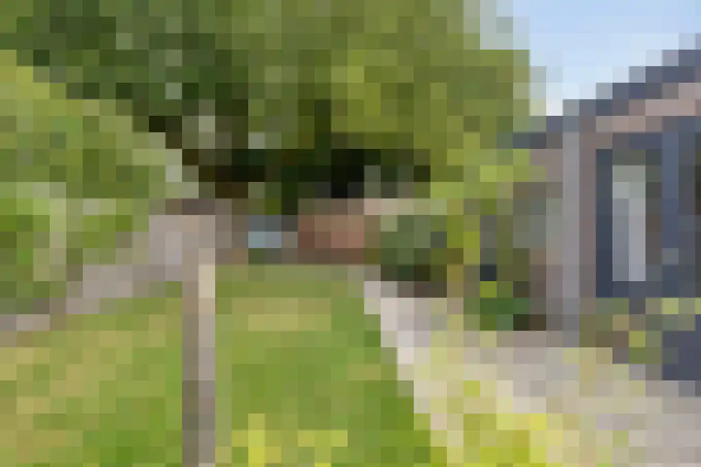 Kempischebaan 168 Valkenswaard thumbnail 39
