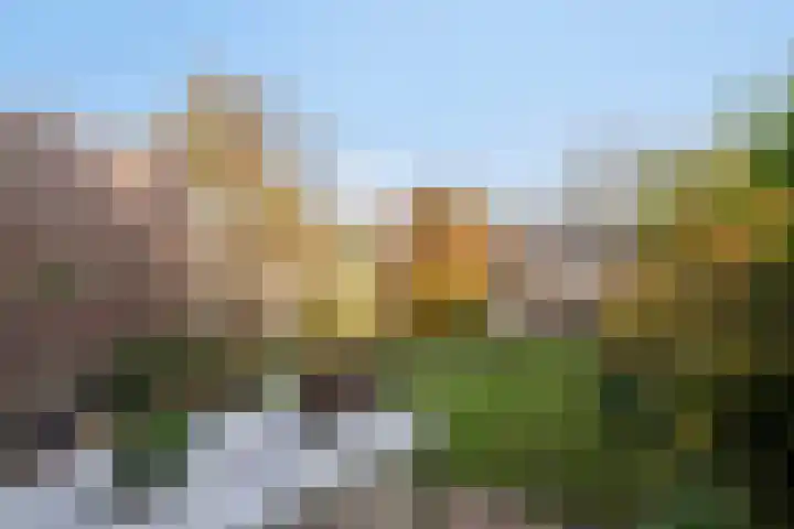 Kempischebaan 184 Valkenswaard thumbnail 28