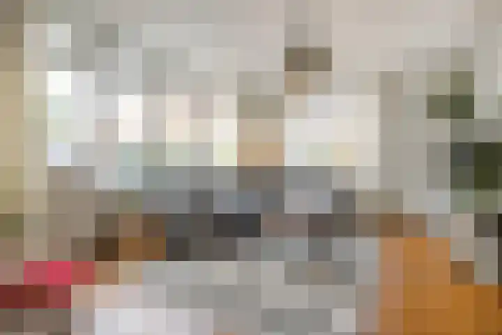 Kempjeslaan 2 Ede thumbnail 10