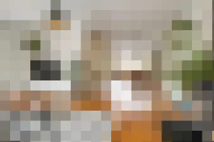 Kempjeslaan 2 Ede thumbnail 13