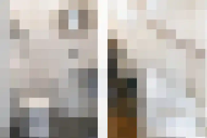 Kempjeslaan 2 Ede thumbnail 19