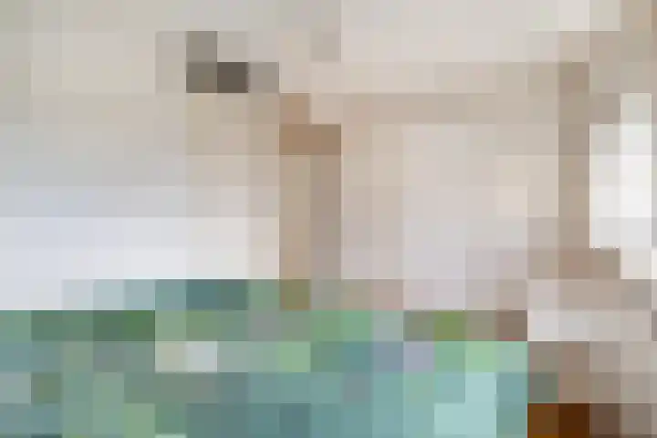 Kempjeslaan 2 Ede thumbnail 21