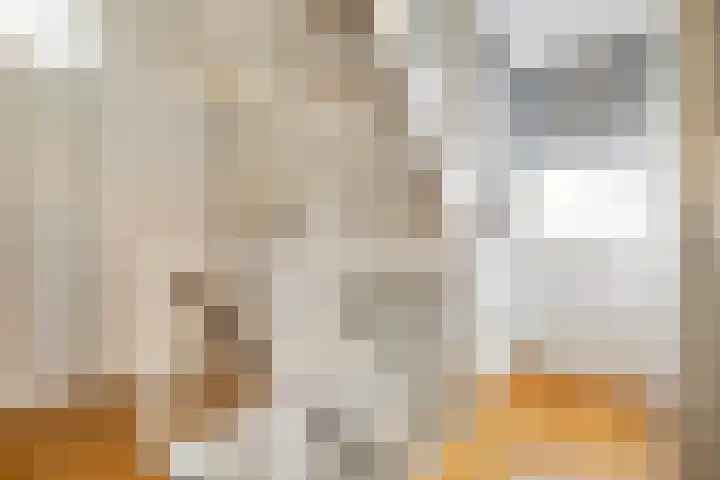 Kempjeslaan 2 Ede thumbnail 28