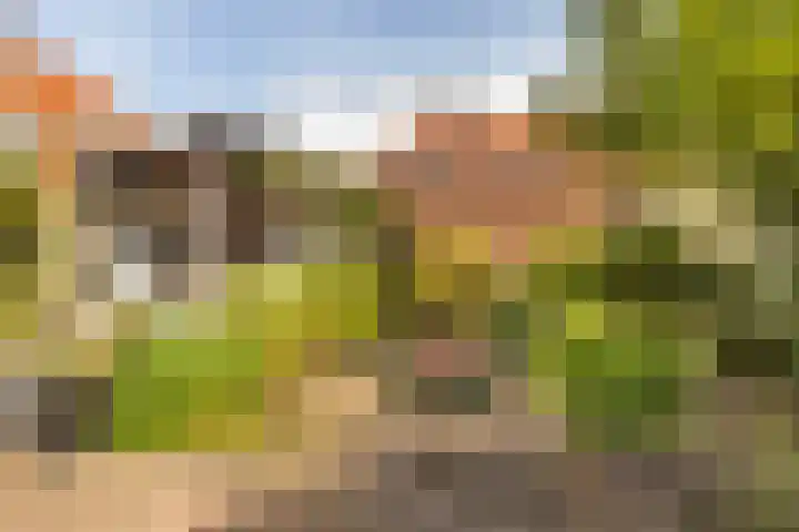 Kempjeslaan 2 Ede thumbnail 34
