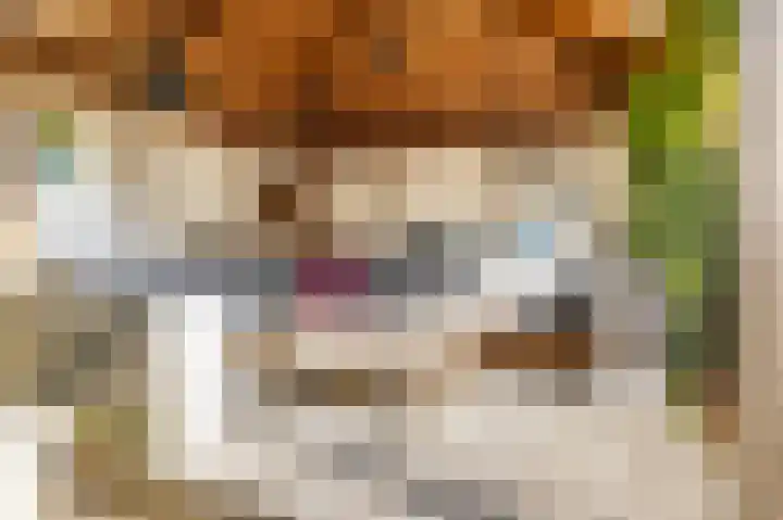 Kempjeslaan 2 Ede thumbnail 35