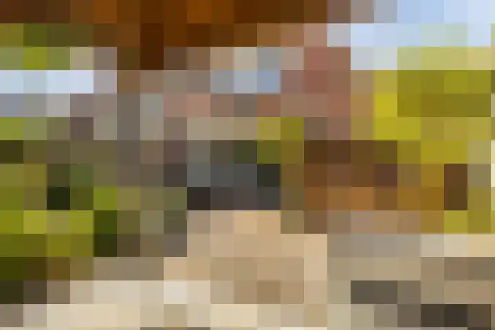 Kempjeslaan 2 Ede thumbnail 36