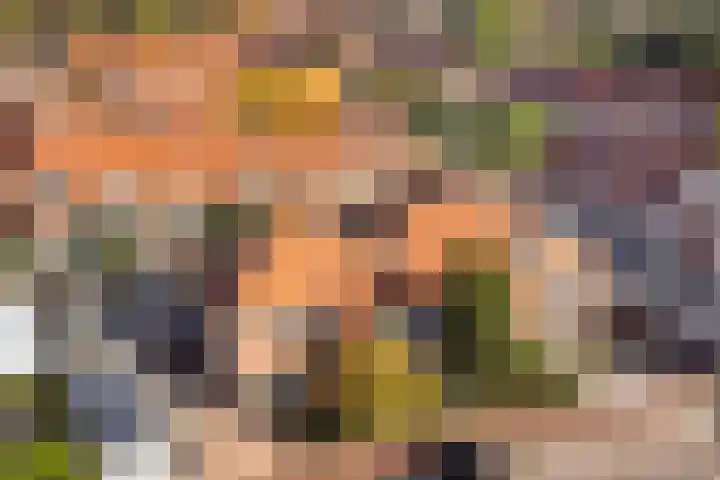 Kempjeslaan 2 Ede thumbnail 41