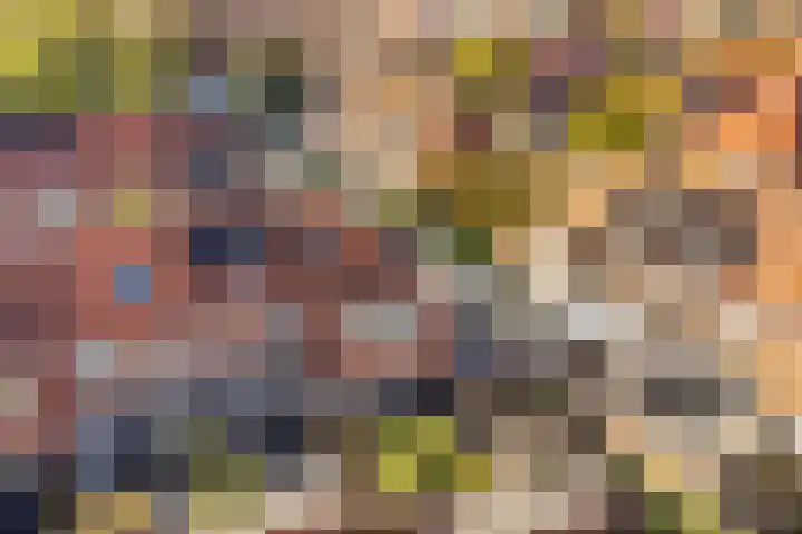 Kempjeslaan 2 Ede thumbnail 43
