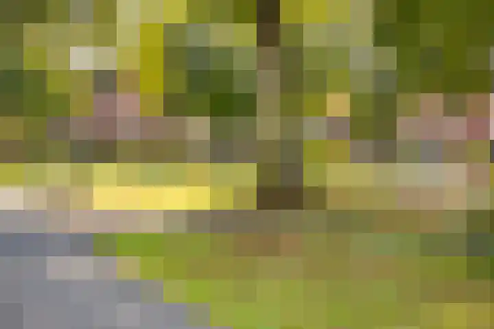 Kempjeslaan 2 Ede thumbnail 46