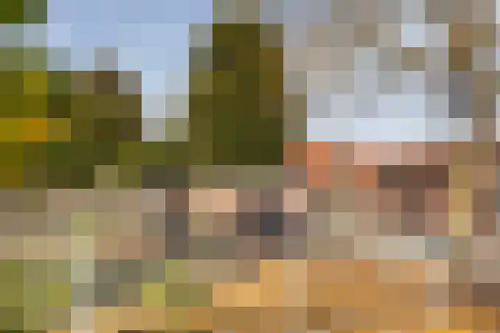Kempjeslaan 2 Ede thumbnail 47