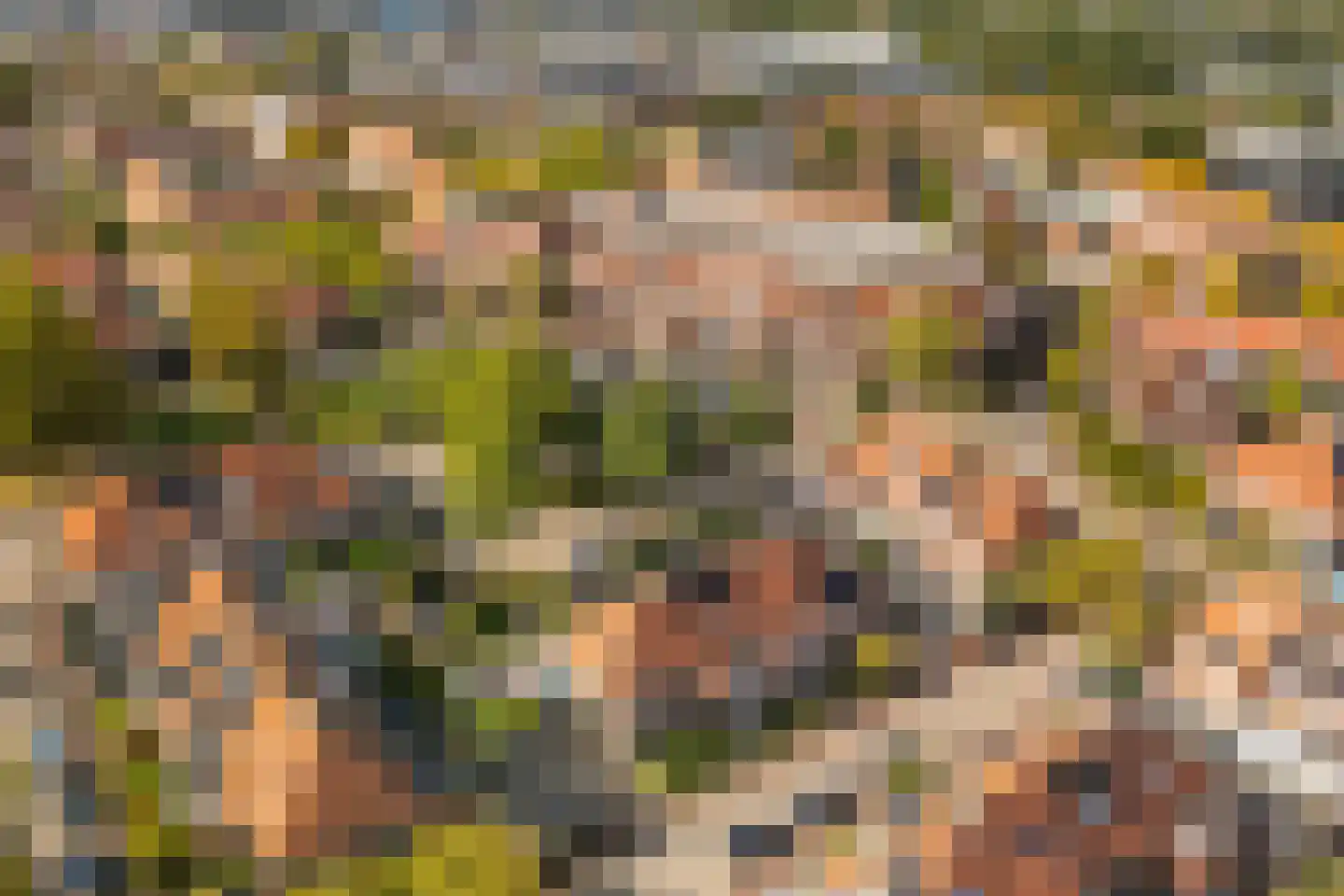 Kempjeslaan 3 Ede thumbnail 25