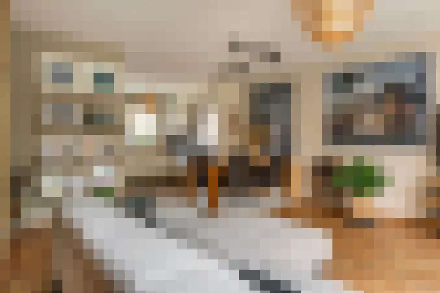 Kempjeslaan 3 Ede thumbnail 5
