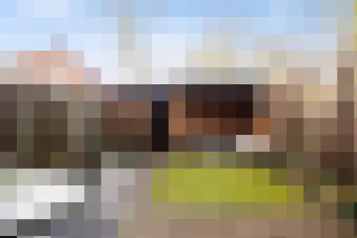 Kempjeslaan 5 Ede thumbnail 34