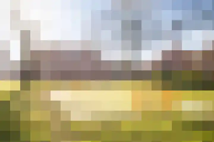 Kempjeslaan 5 Ede thumbnail 42