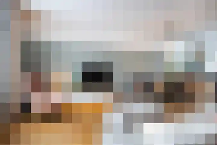 Kempjeslaan 5 Ede thumbnail 5