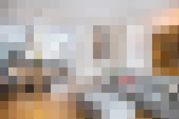 Kempjeslaan 5 Ede thumbnail 6