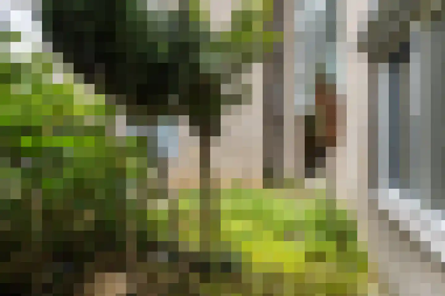 Kempkensweg 2 B Heerlen thumbnail 25