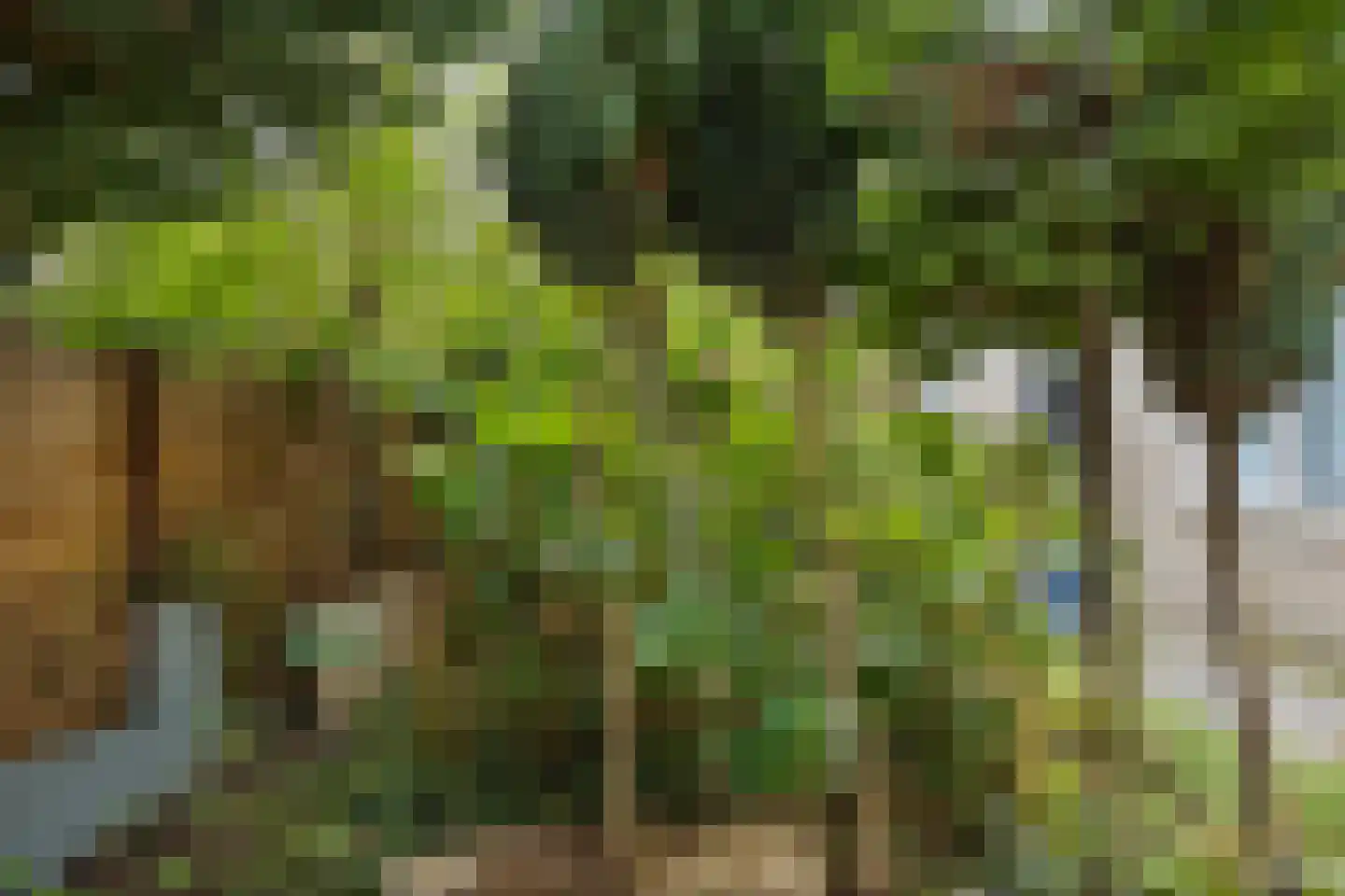 Kempkensweg 2 B Heerlen thumbnail 27