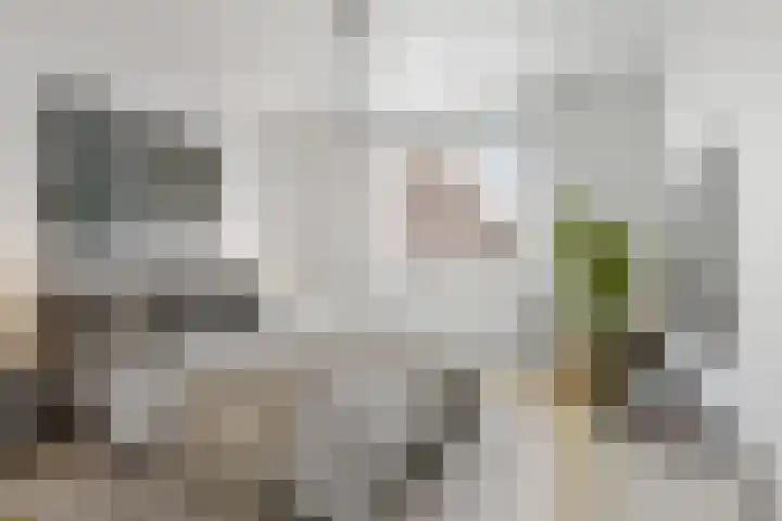 Kempkensweg 2 C Heerlen thumbnail 12