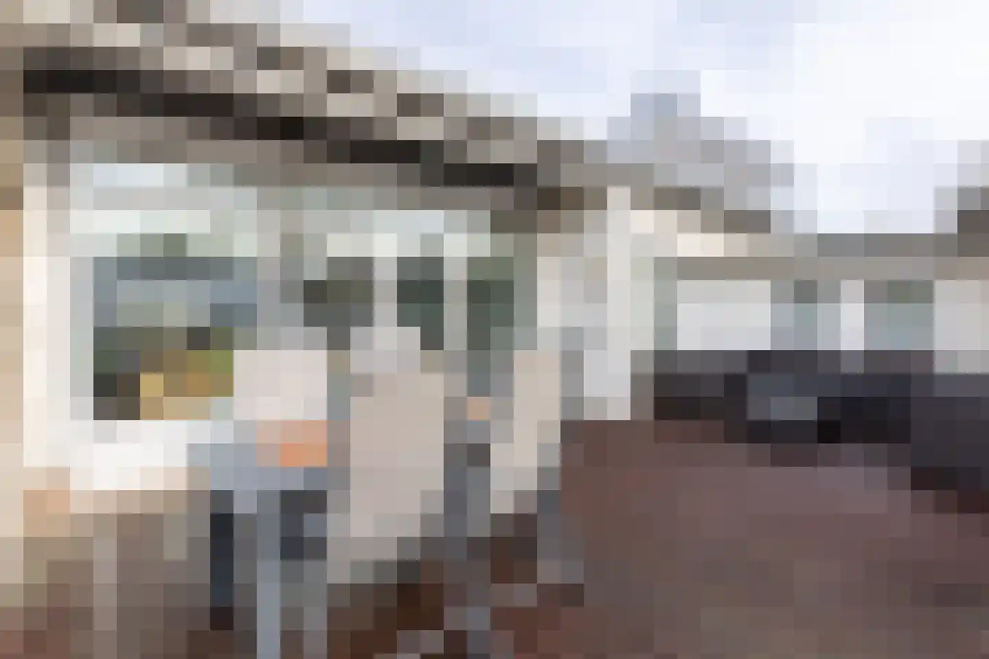 Kempkensweg 29 Landgraaf thumbnail 36