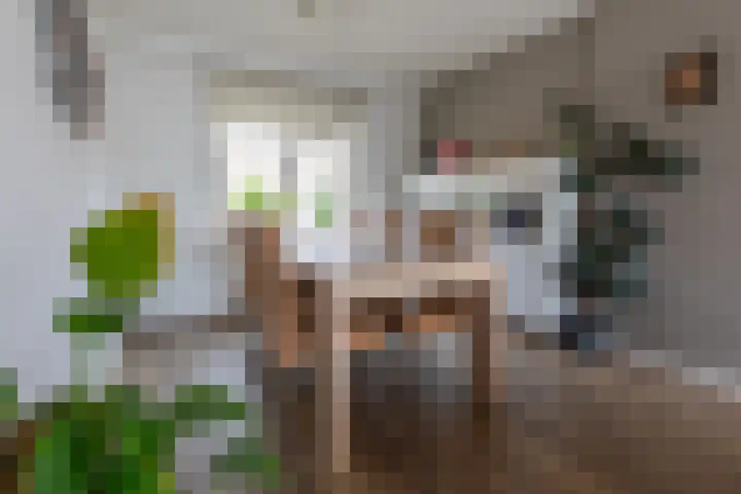Kempkensweg 29 Landgraaf thumbnail 7