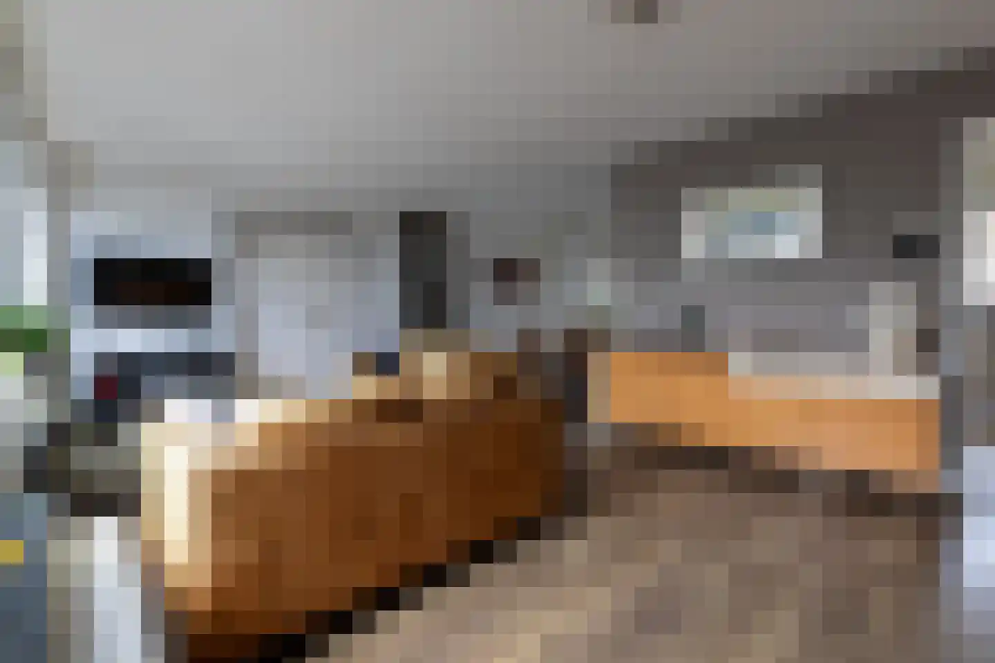 Kempkensweg 29 Landgraaf thumbnail 9