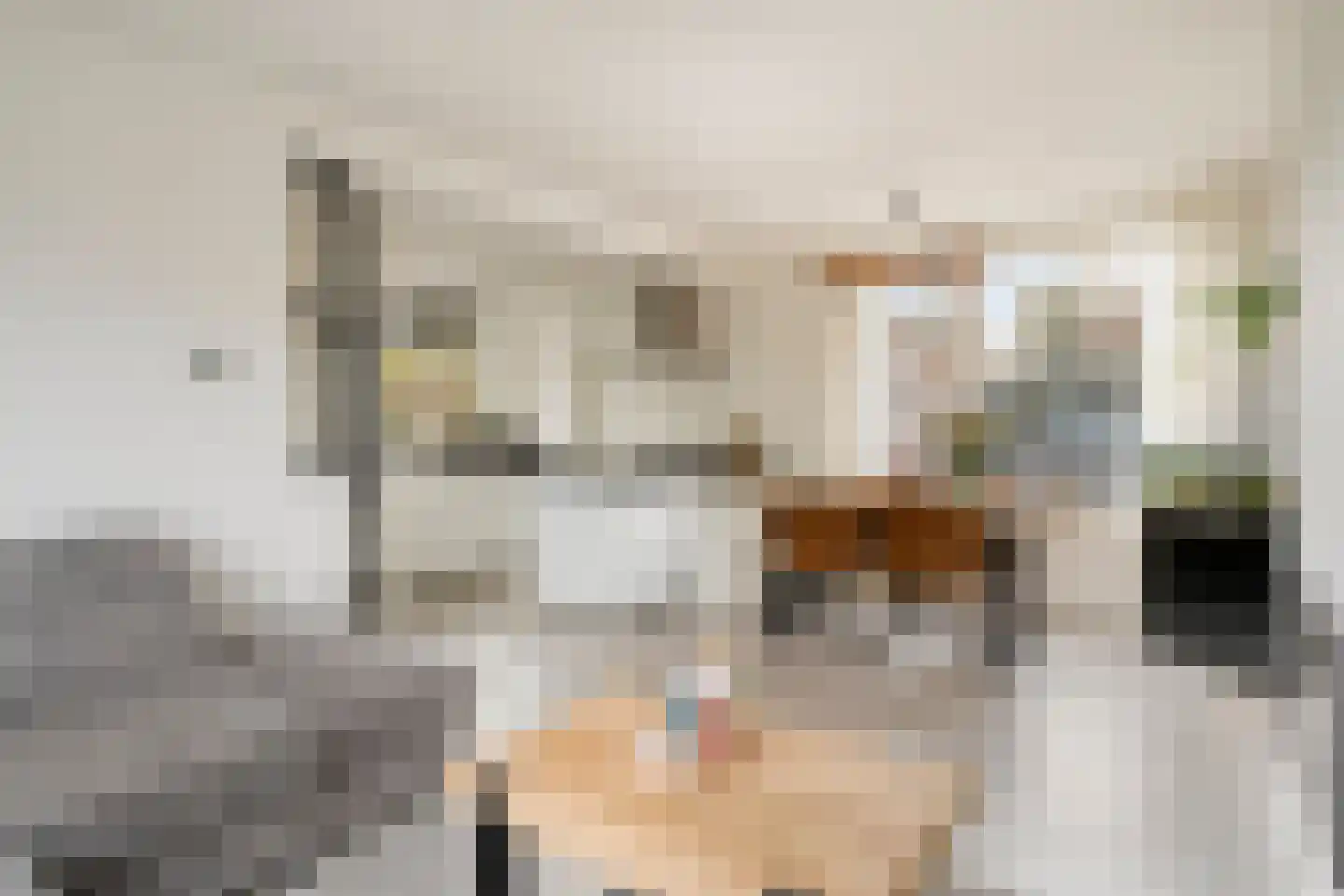 Kempkesstraat 1 Nieuwaal thumbnail 11