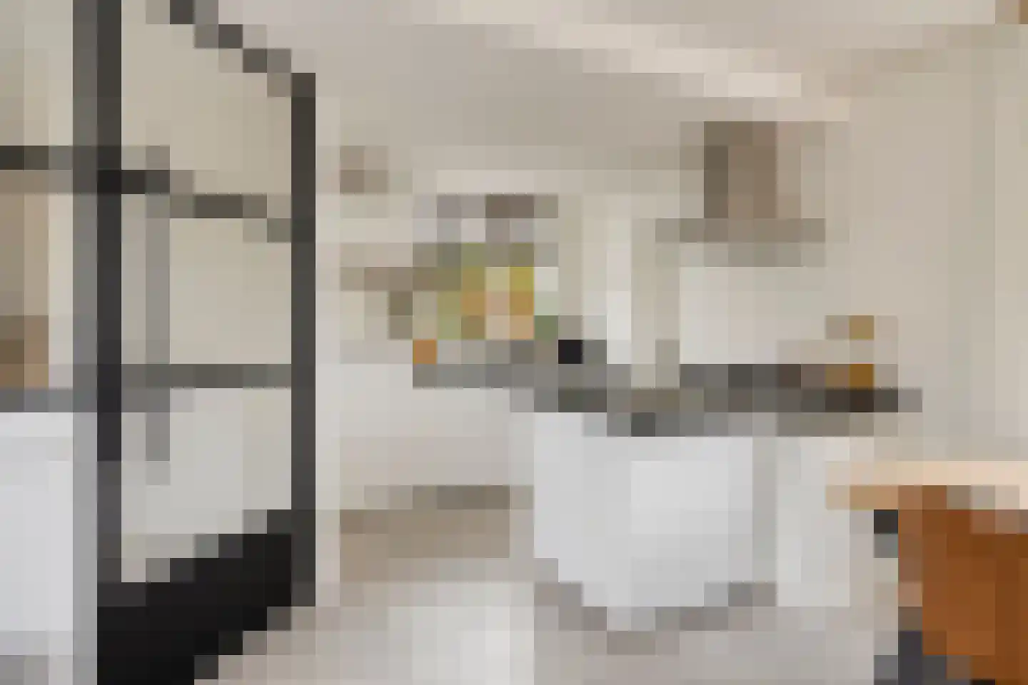 Kempkesstraat 1 Nieuwaal thumbnail 12