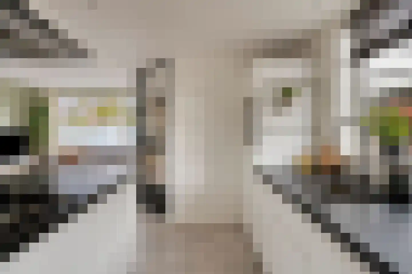 Kempkesstraat 1 Nieuwaal thumbnail 13