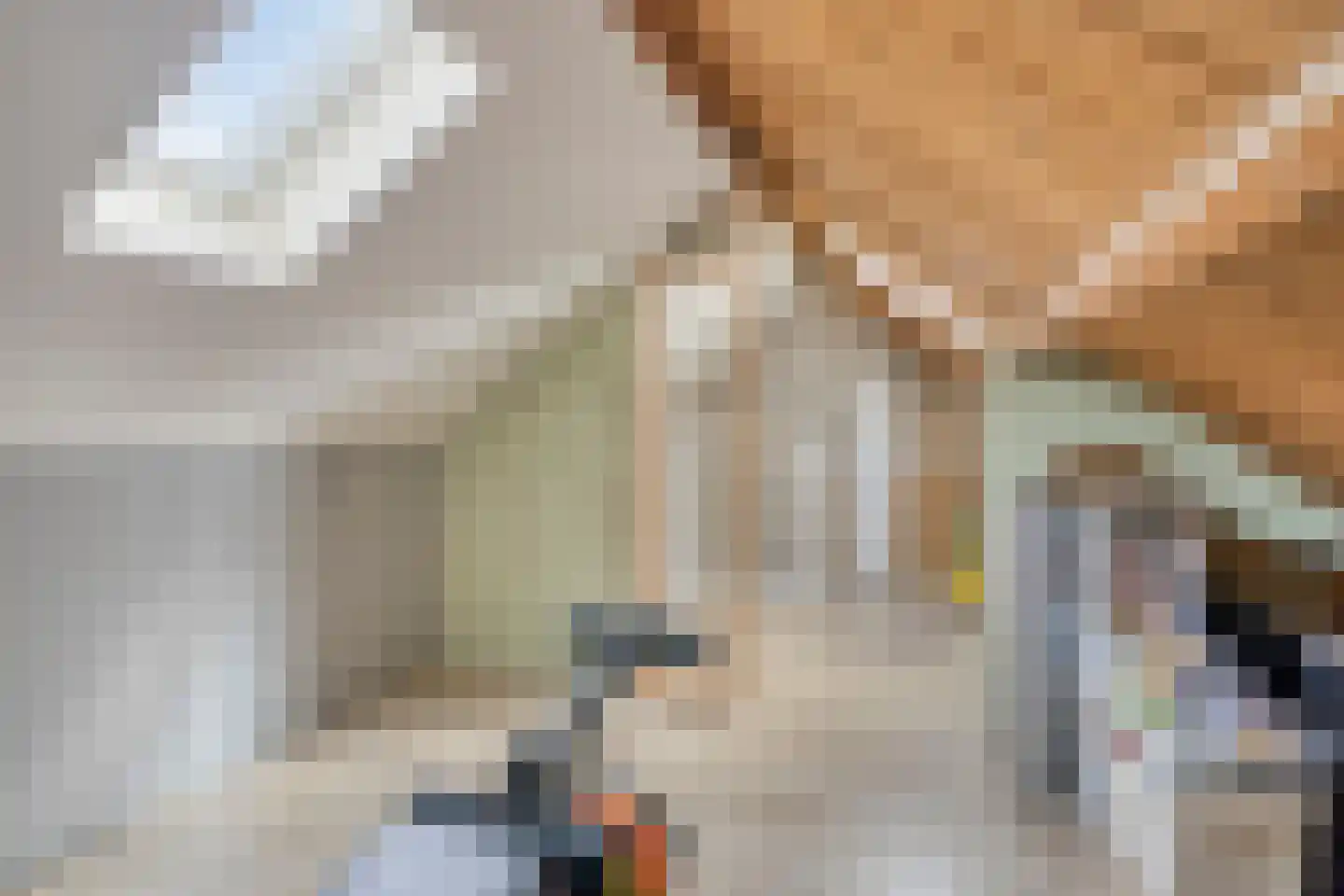 Kempkesstraat 1 Nieuwaal thumbnail 25