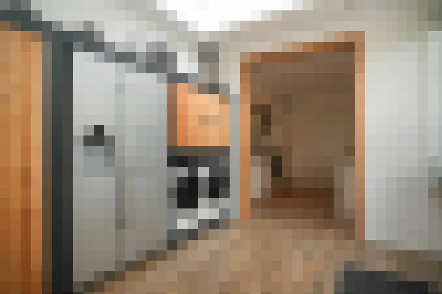 Kempkesstraat 4 Nieuwaal thumbnail 13