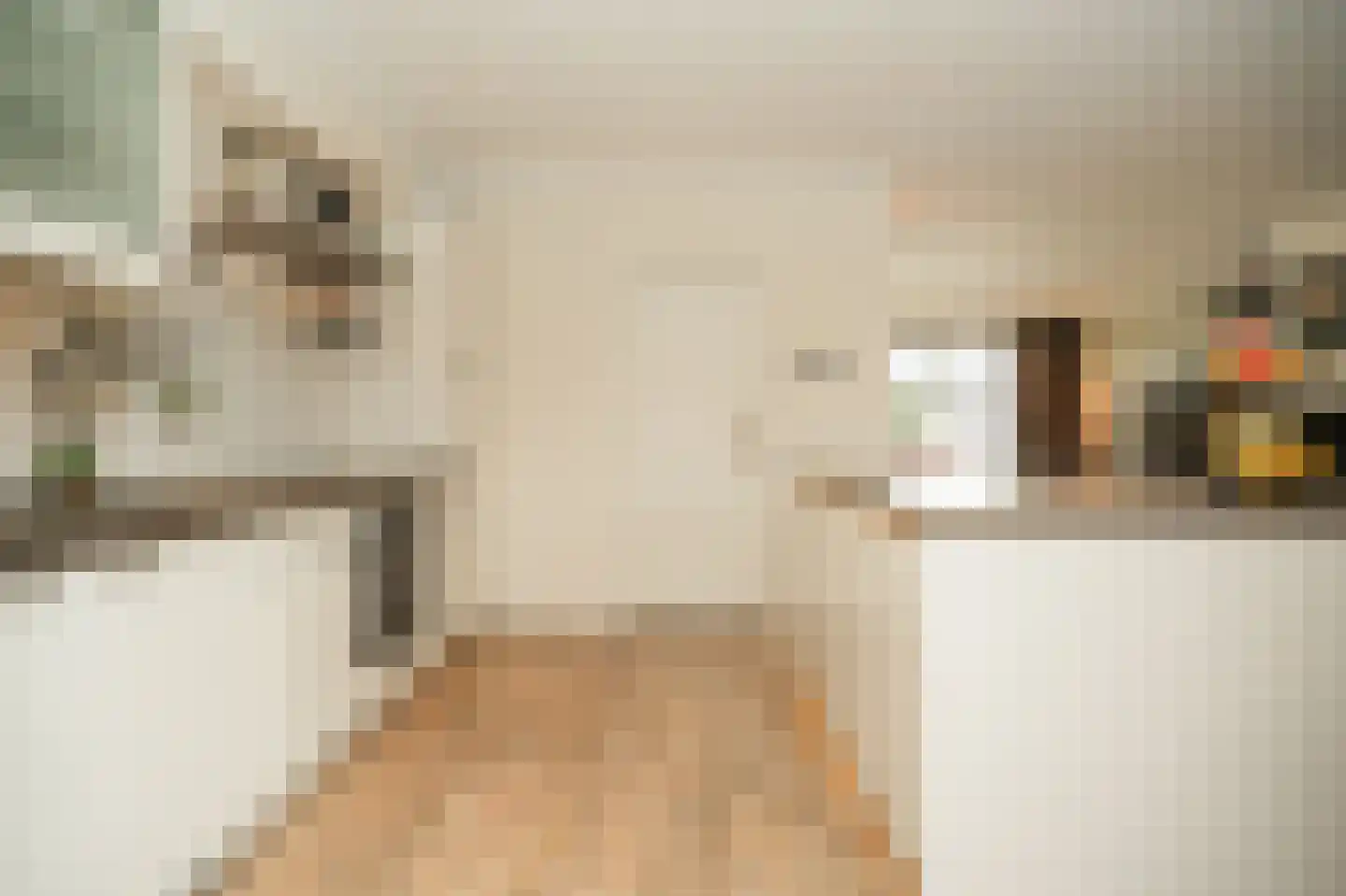 Kempkesstraat 4 Nieuwaal thumbnail 14