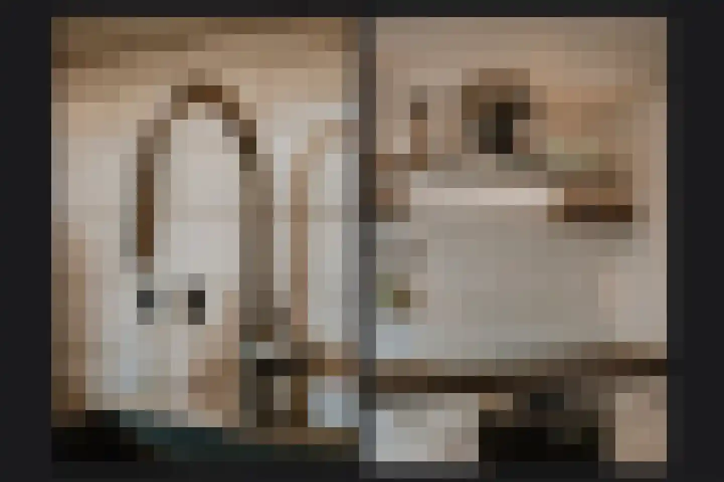 Kempkesstraat 4 Nieuwaal thumbnail 15