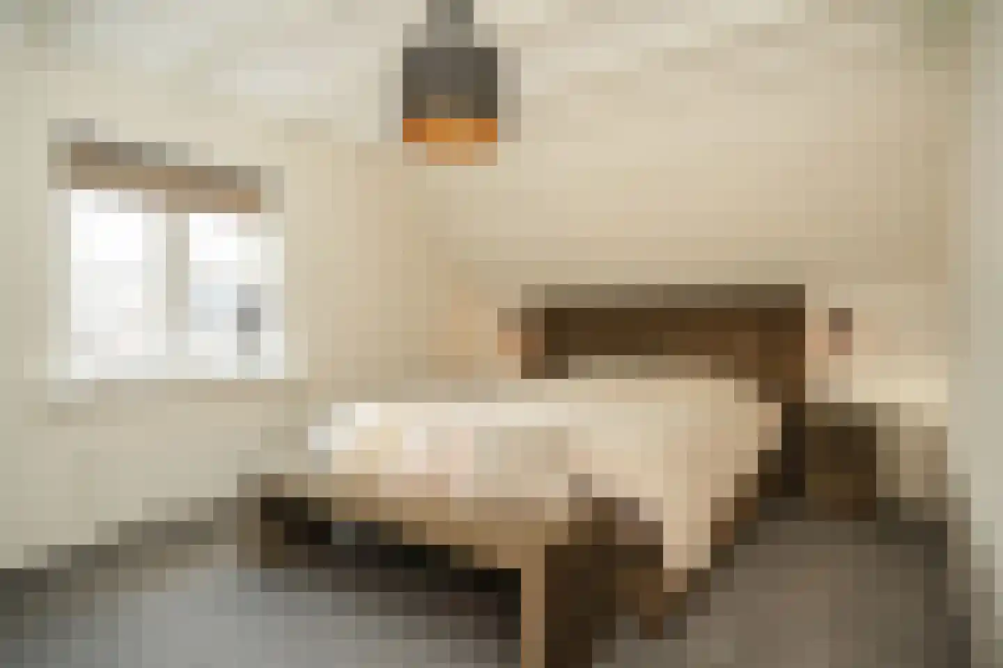 Kempkesstraat 4 Nieuwaal thumbnail 17