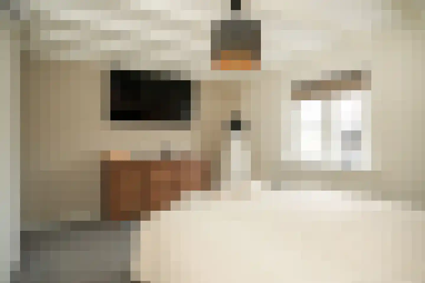 Kempkesstraat 4 Nieuwaal thumbnail 18