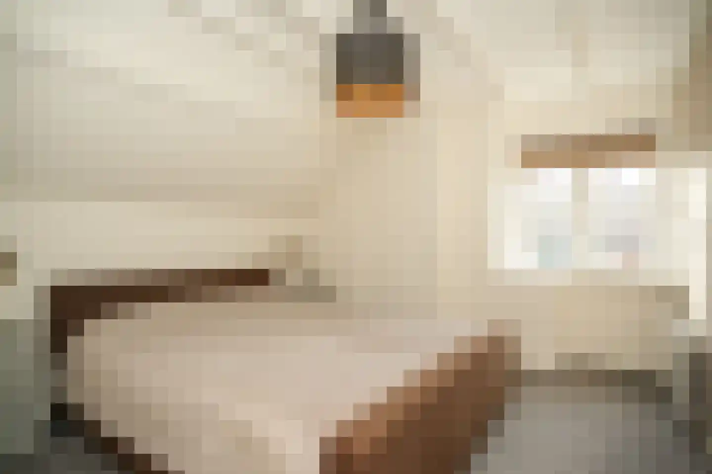 Kempkesstraat 4 Nieuwaal thumbnail 22