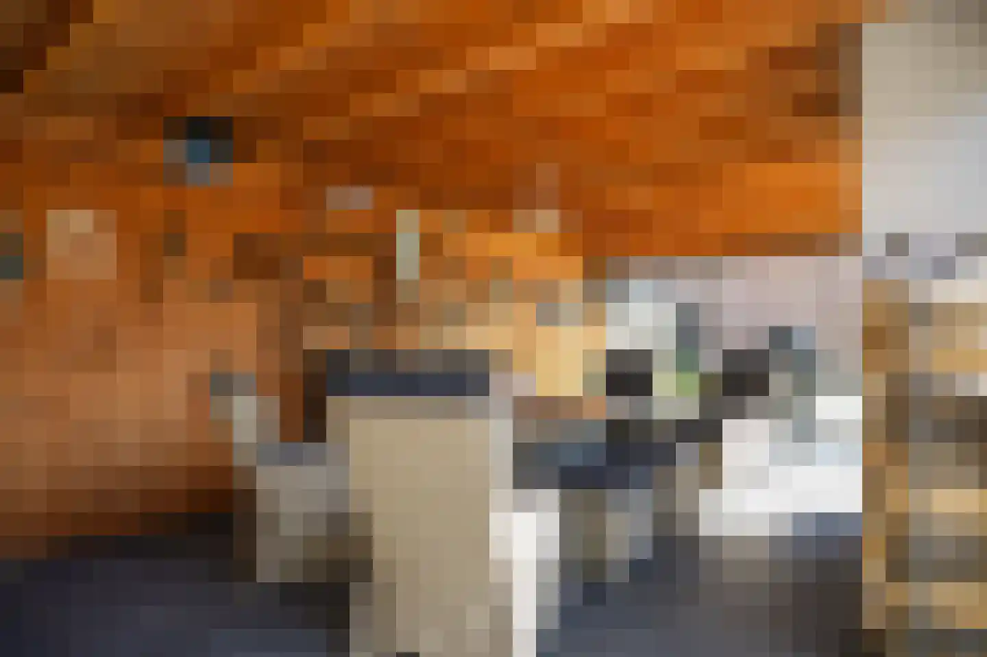 Kempkesstraat 4 Nieuwaal thumbnail 38
