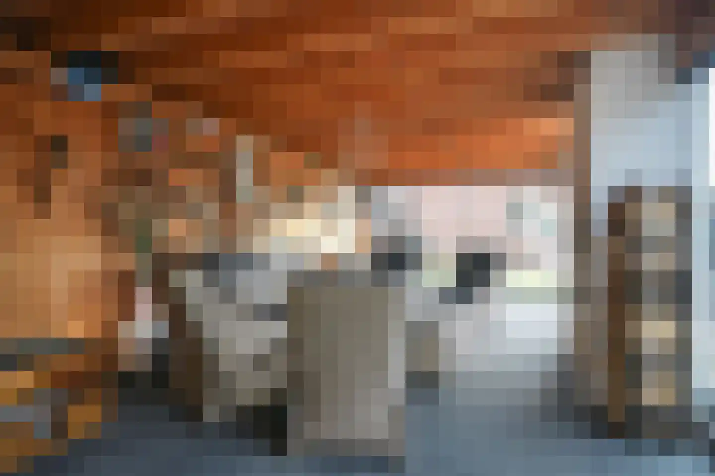 Kempkesstraat 4 Nieuwaal thumbnail 41