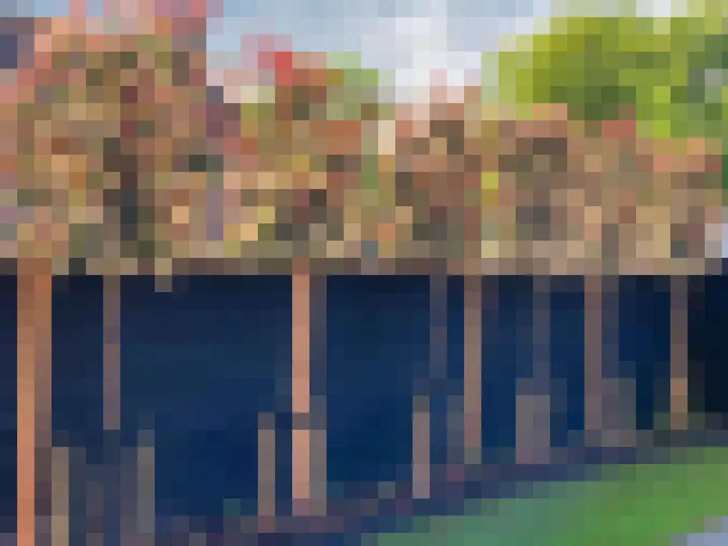 Kempkesstraat 4 Nieuwaal thumbnail 44