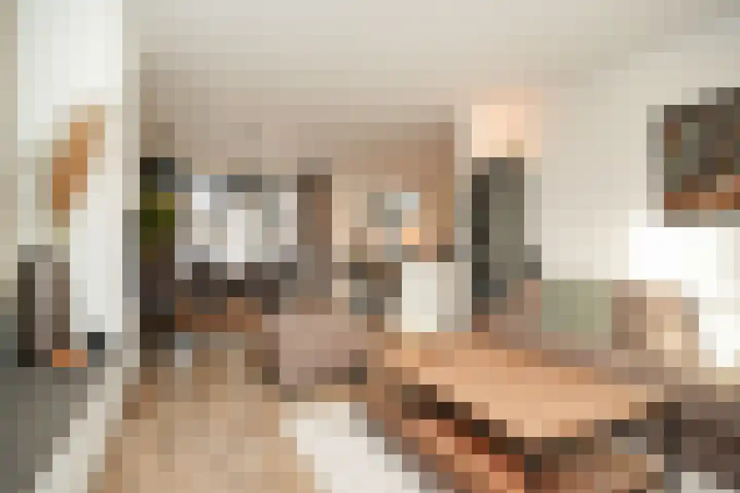 Kempkesstraat 4 Nieuwaal thumbnail 6