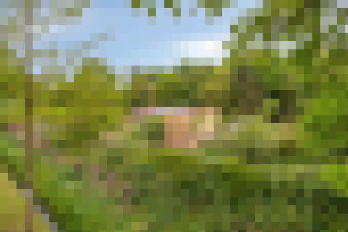 Kempseweg 15 Boxtel thumbnail 31