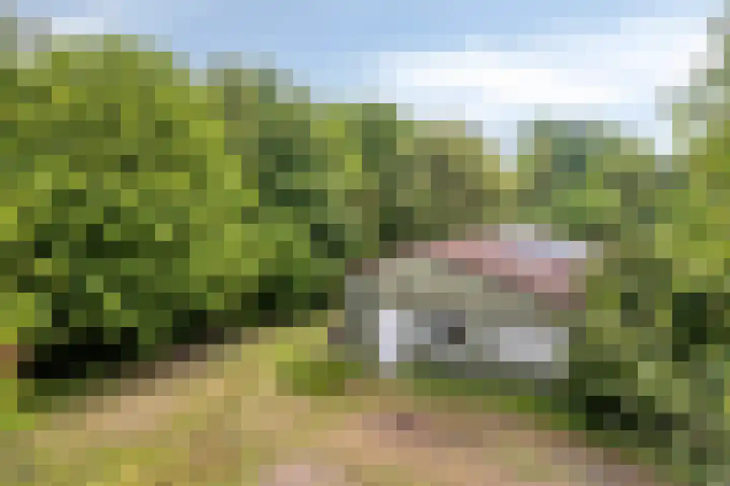 Kempseweg 15 Boxtel thumbnail 32
