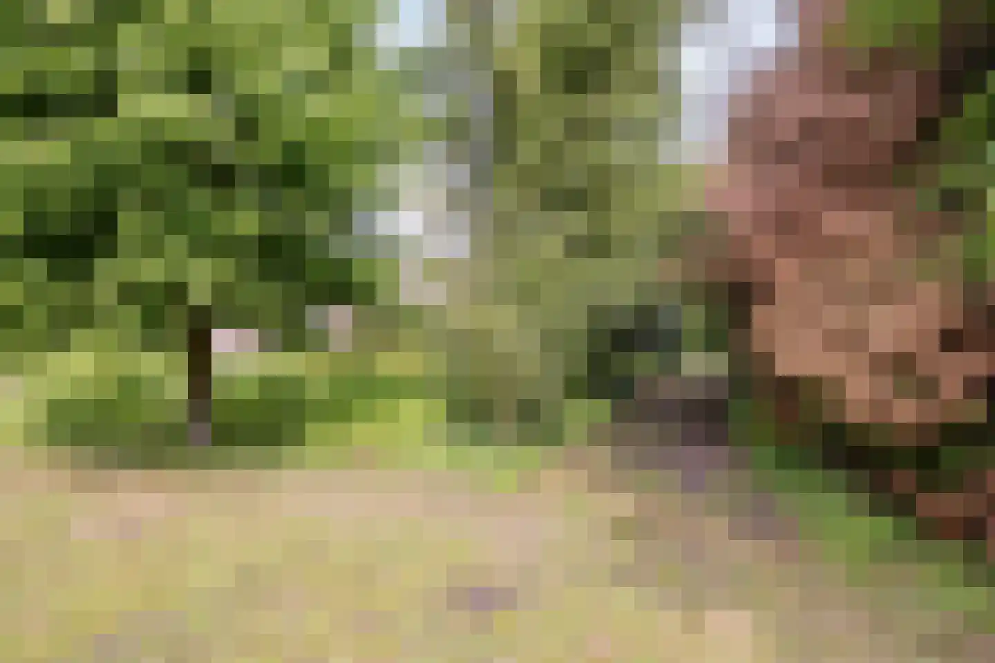 Kempseweg 15 Boxtel thumbnail 35