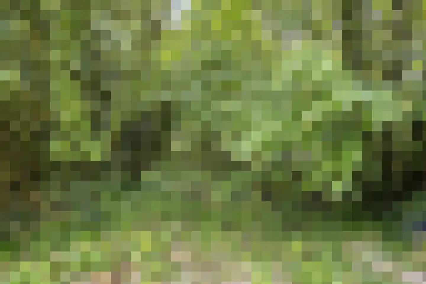 Kempseweg 15 Boxtel thumbnail 36