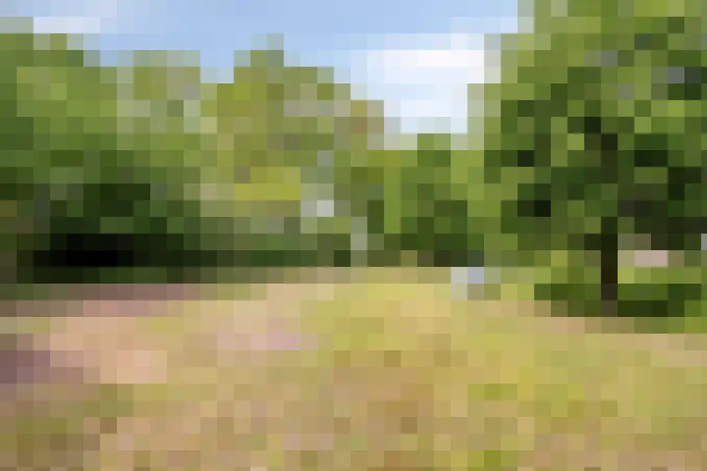 Kempseweg 15 Boxtel thumbnail 38