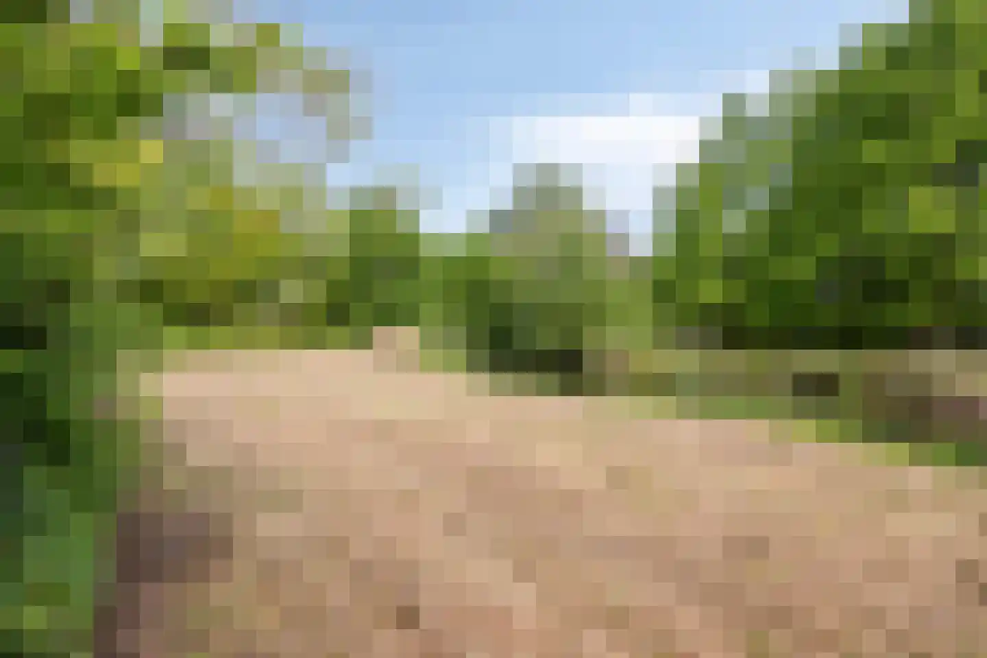 Kempseweg 15 Boxtel thumbnail 39