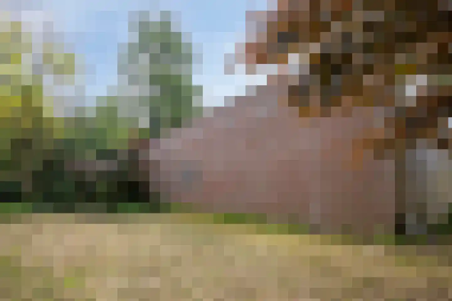 Kempseweg 15 Boxtel thumbnail 40