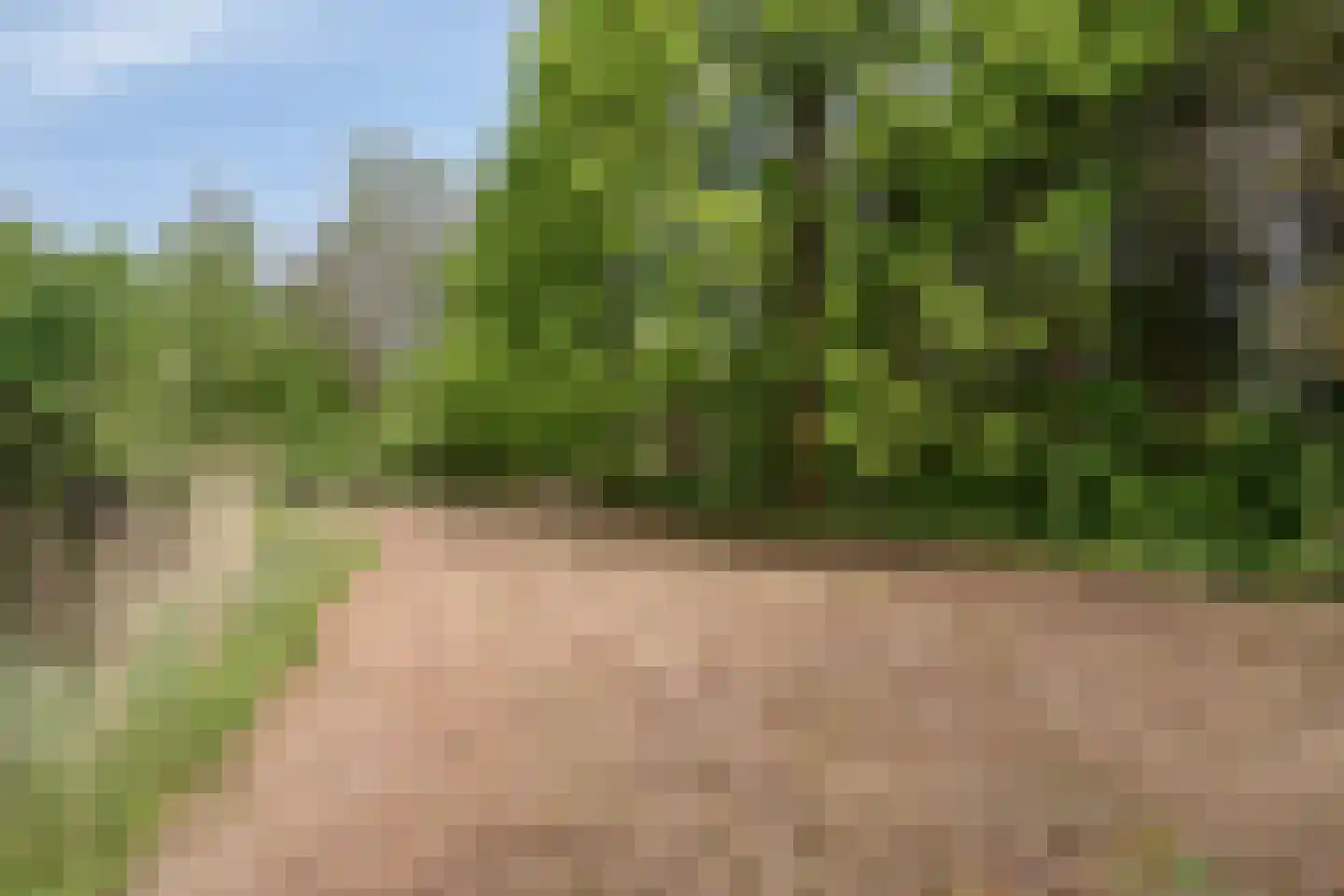 Kempseweg 15 Boxtel thumbnail 41