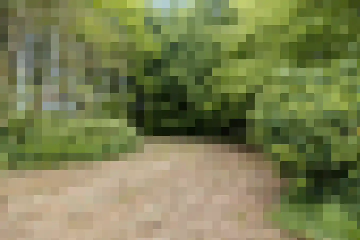 Kempseweg 15 Boxtel thumbnail 42